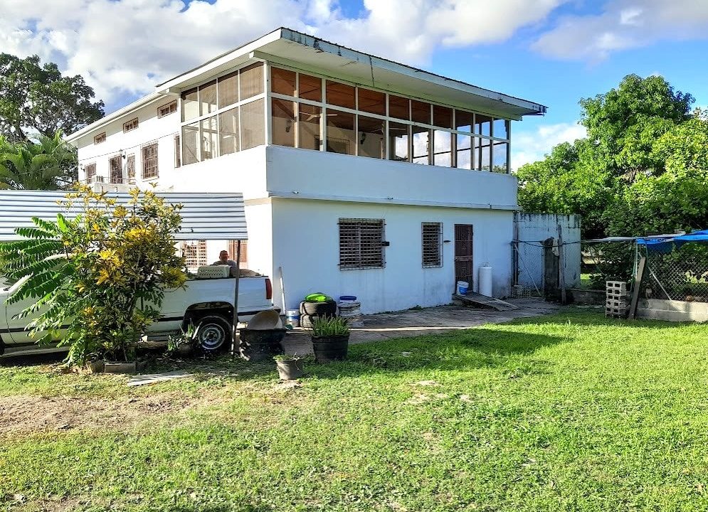 view-of-the-building-from-the-south