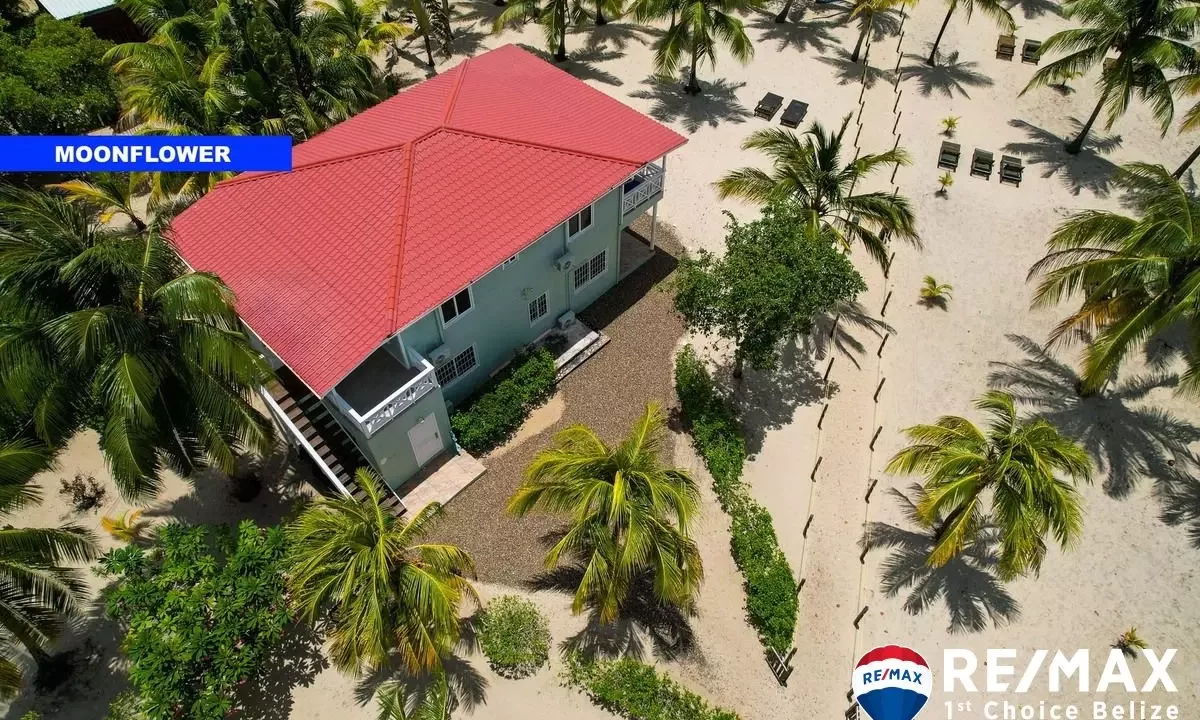 2362_HIbiscusBeachPlacencia1071