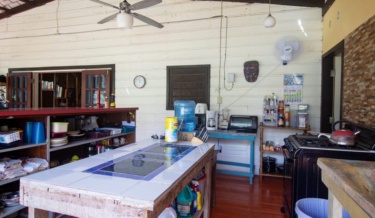 downstairs kitchen 1