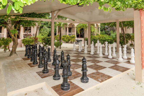 giant-chess-area-1-web