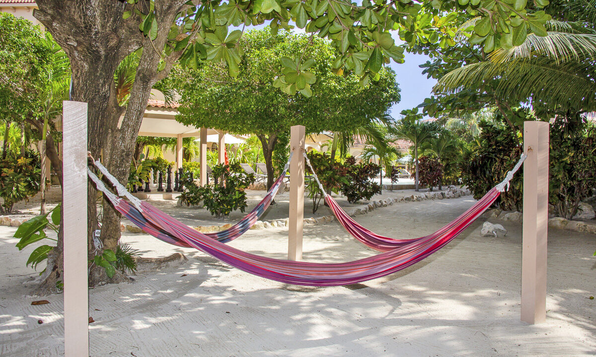 hammock-area-under-tree-shade-web