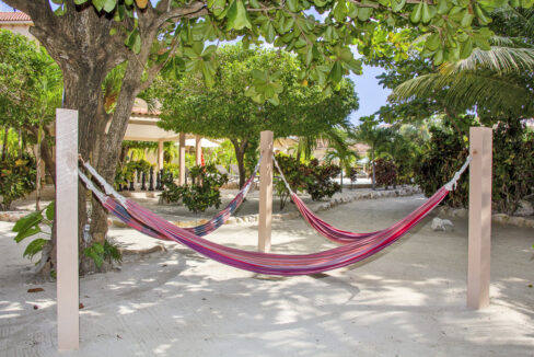 hammock-area-under-tree-shade-web