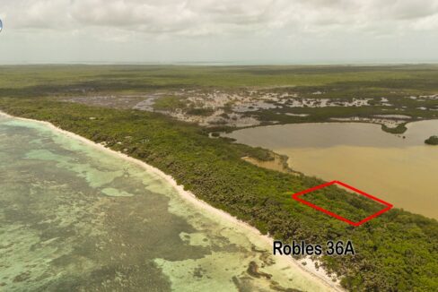 robles-aerial-South-36A
