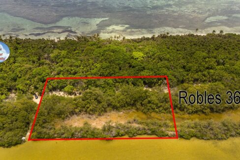 san-pedro-robles-36a-sale-belize