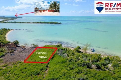 9064-Looking-South-to-Secret-Beach-REMAX