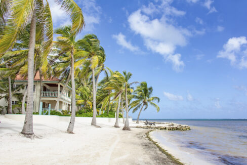 Belizean-Shores-3B-50-of-1_web