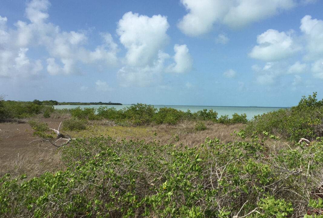 Bracilette-Caye-25-acre-land-topography-scaled