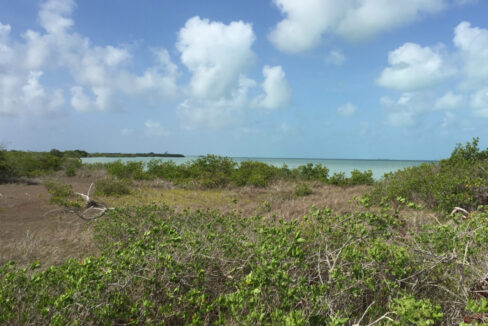 Bracilette-Caye-25-acre-land-topography-scaled