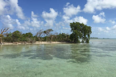 Bracilette-Caye-25-acre--scaled