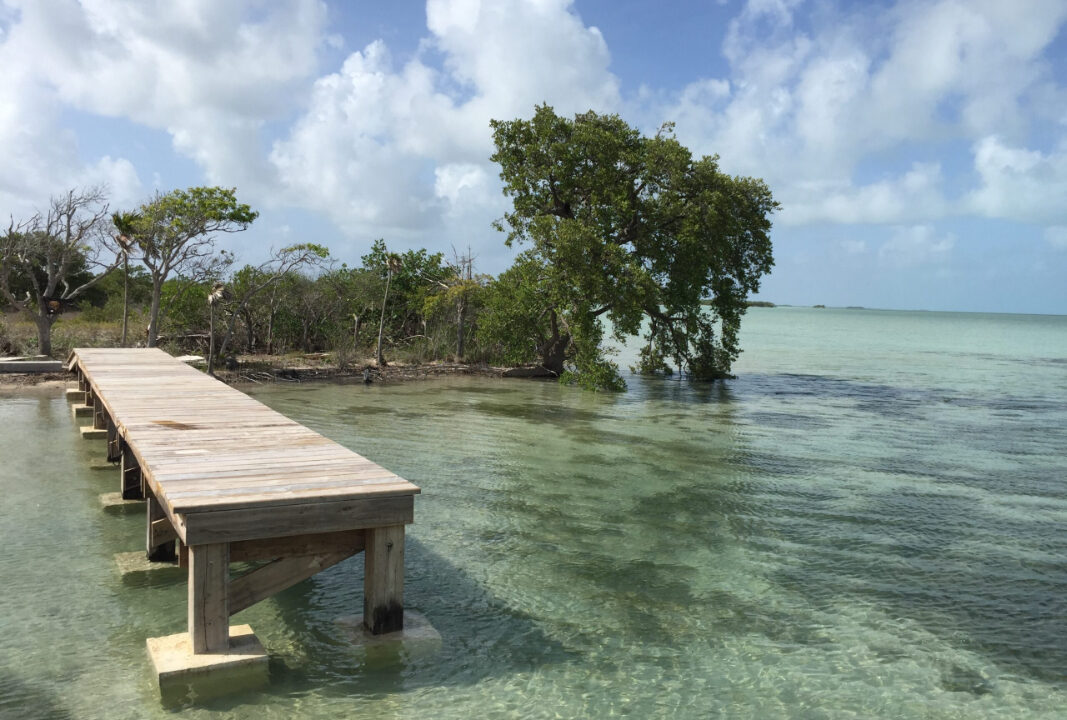 Bracilette-Caye-25-acre-with-pier--scaled