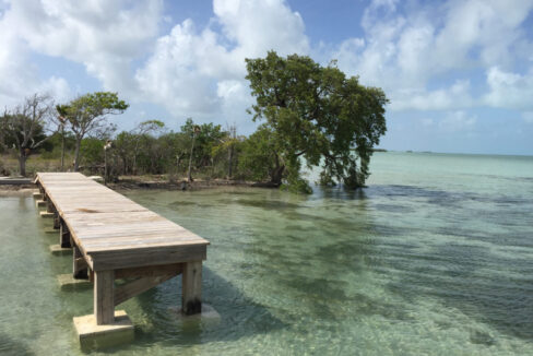 Bracilette-Caye-25-acre-with-pier--scaled