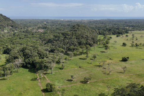 Cattle-ranch-Toledo-800x0-c-center