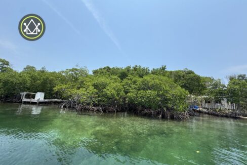 PI0029-beautiful-mangrove-scaled-800x0-c-center