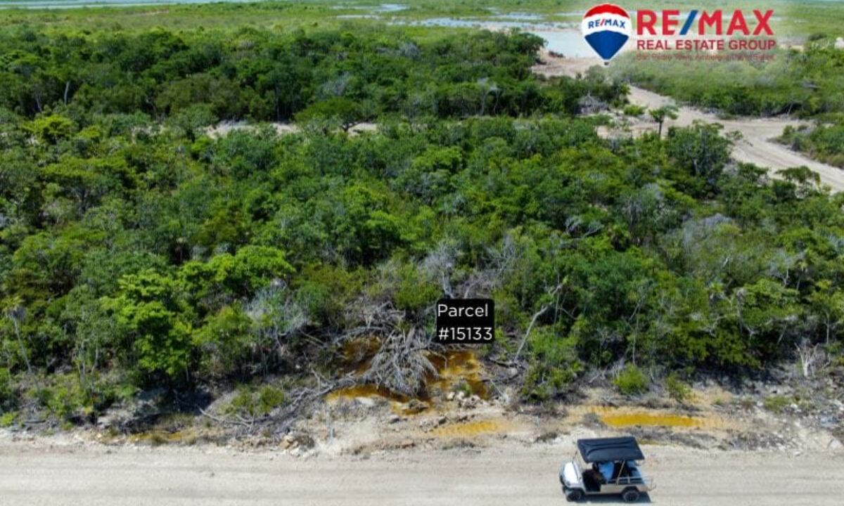 Parcel-15133-Listing-3