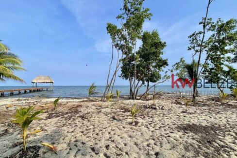 thumb_30748_800_500_0_0_crop
