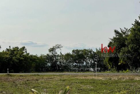 thumb_30770_800_500_0_0_crop