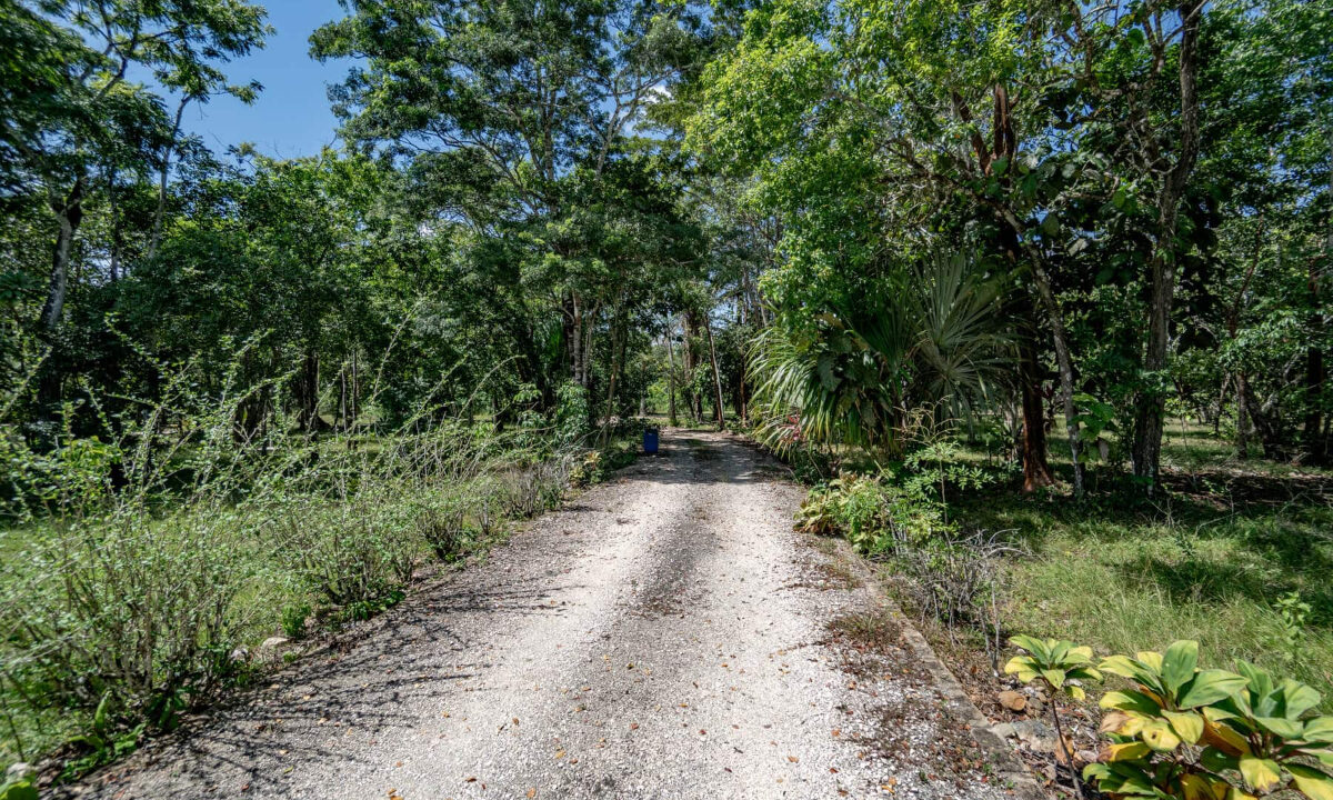 320Bed20320bath20Home20on20620Acres20George20Price20Highway20Belmopan2044