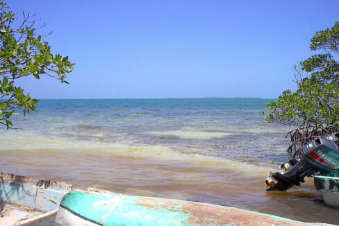 Cross20Caye1