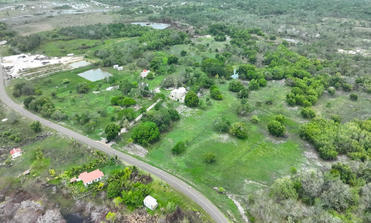 DJI_0366