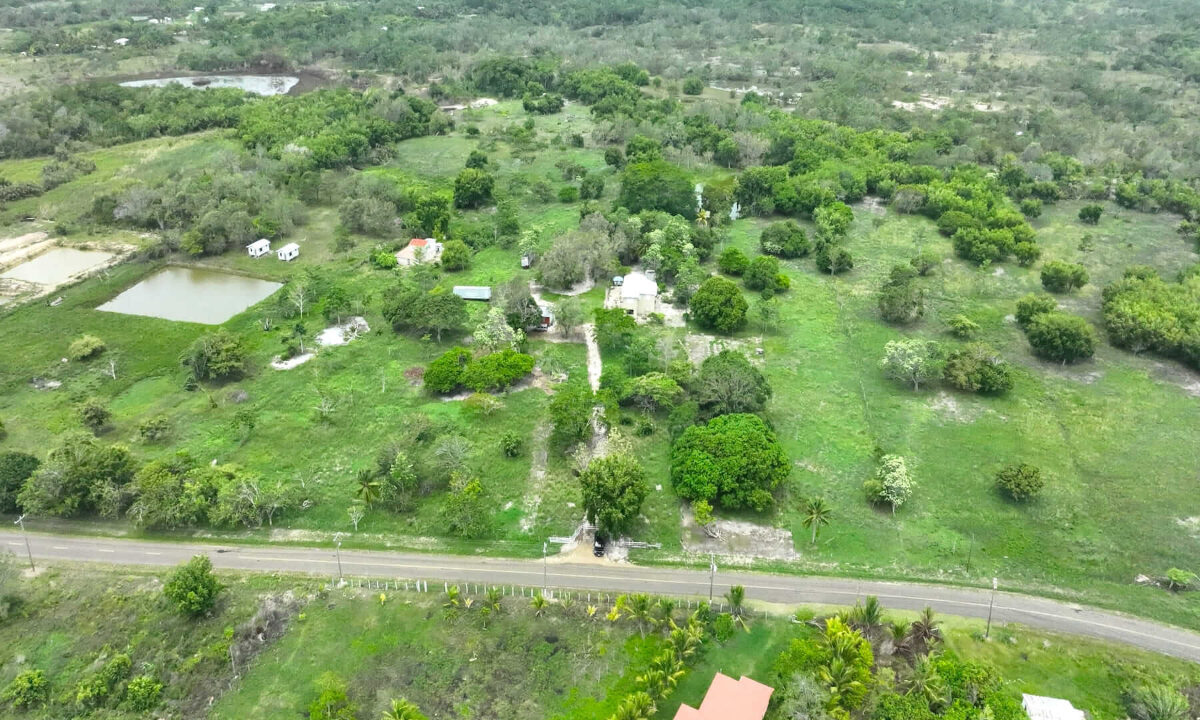 DJI_0370