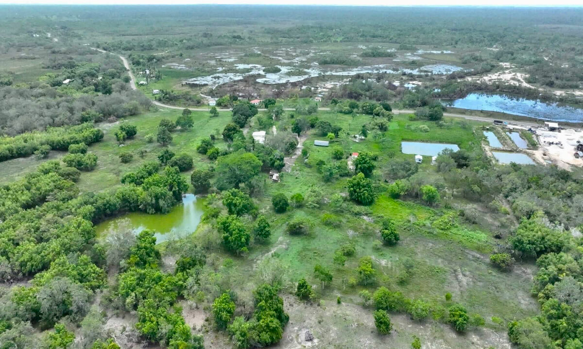DJI_0381