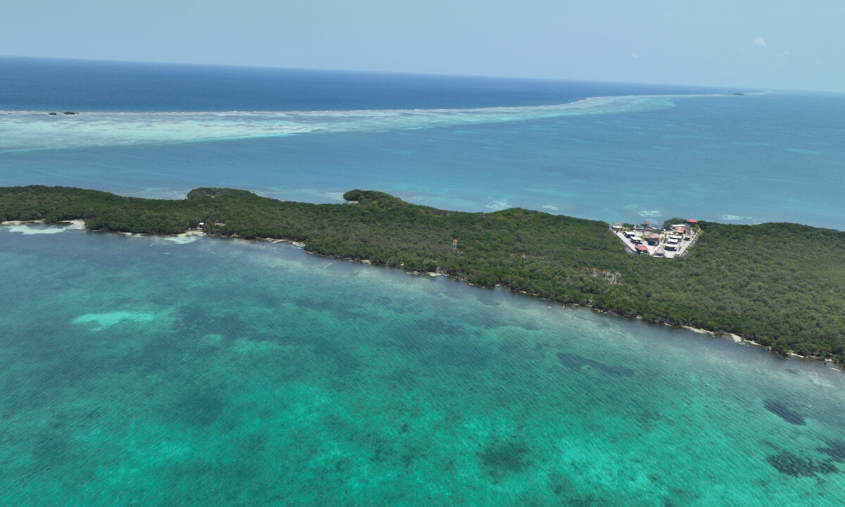 DJI_0818