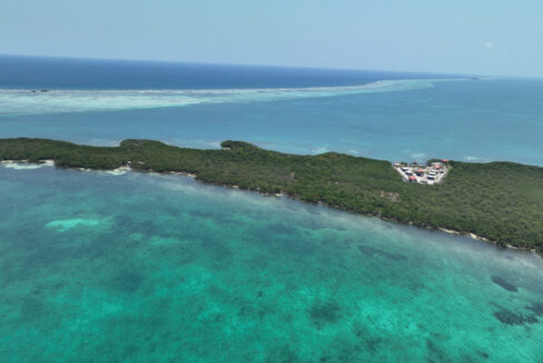 DJI_0818