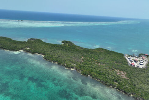 DJI_0819