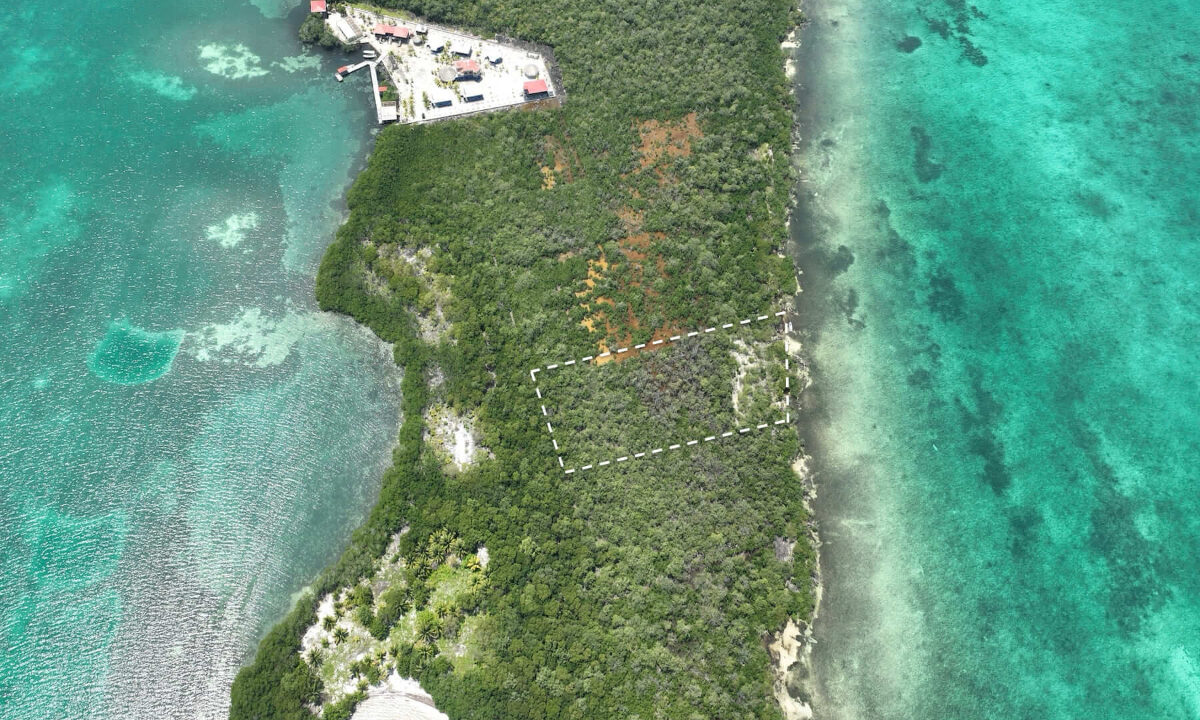 DJI_0827-1