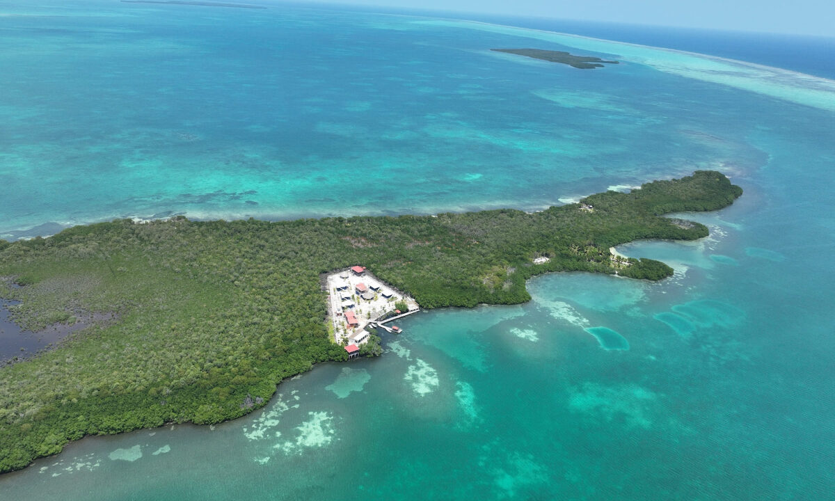 DJI_0834