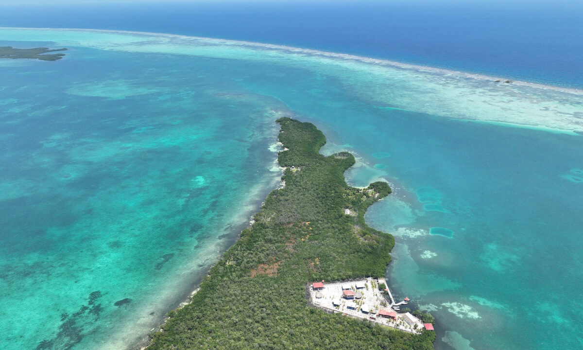 DJI_0836