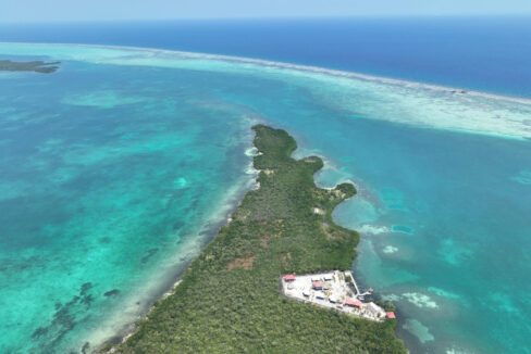 DJI_0836