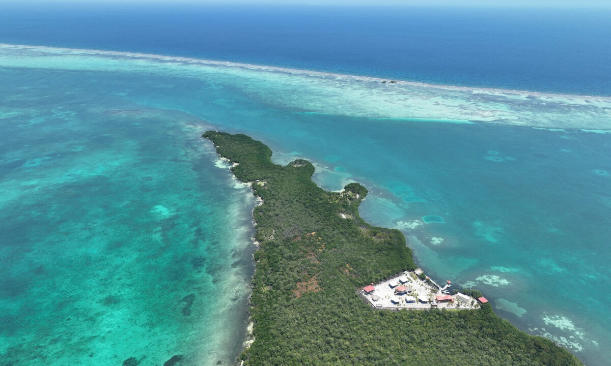 DJI_0837