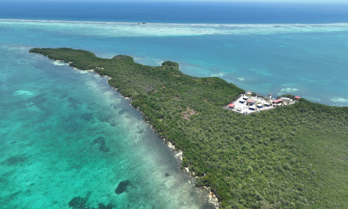 DJI_0838