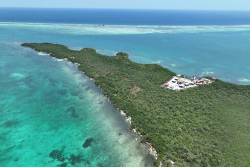 DJI_0838