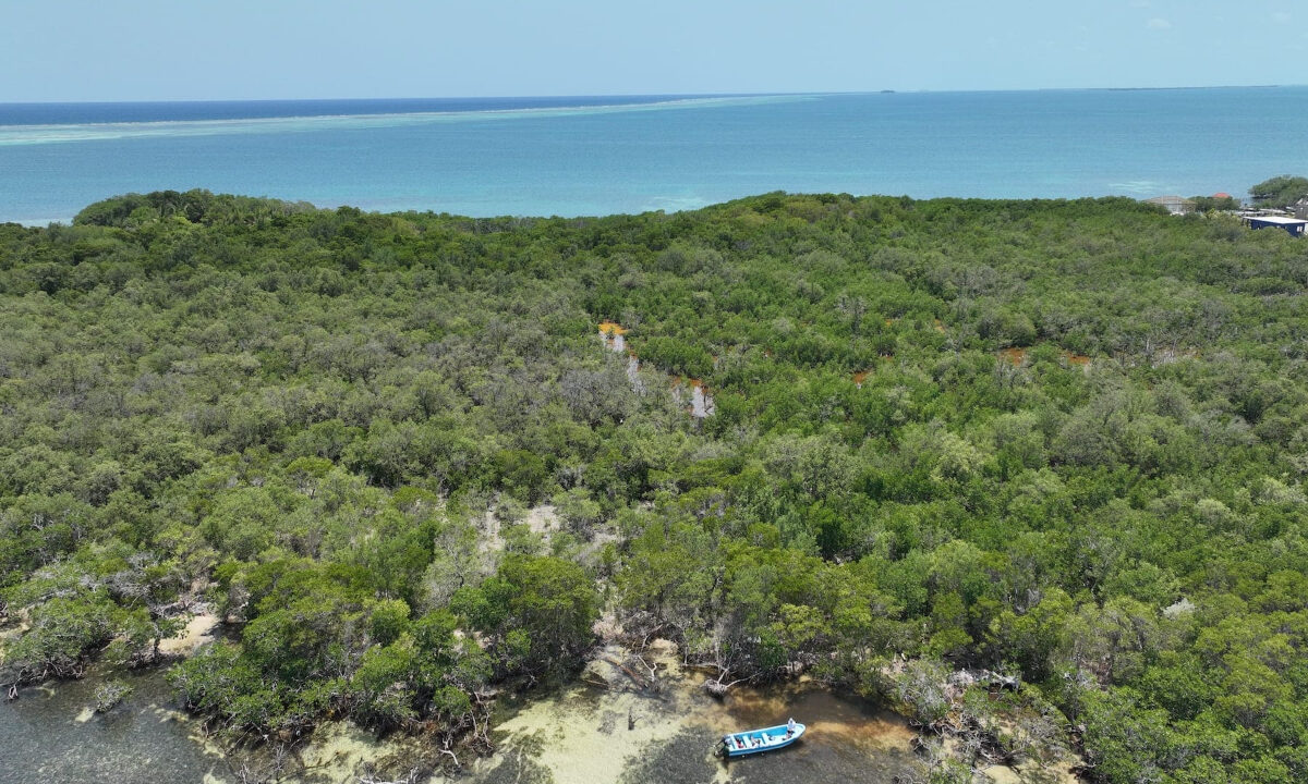 DJI_0846
