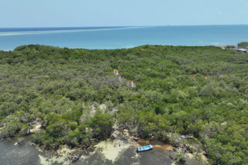 DJI_0846