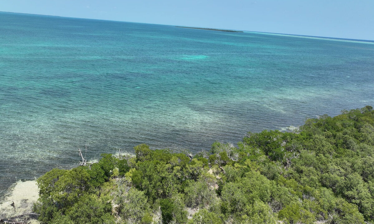 DJI_0849