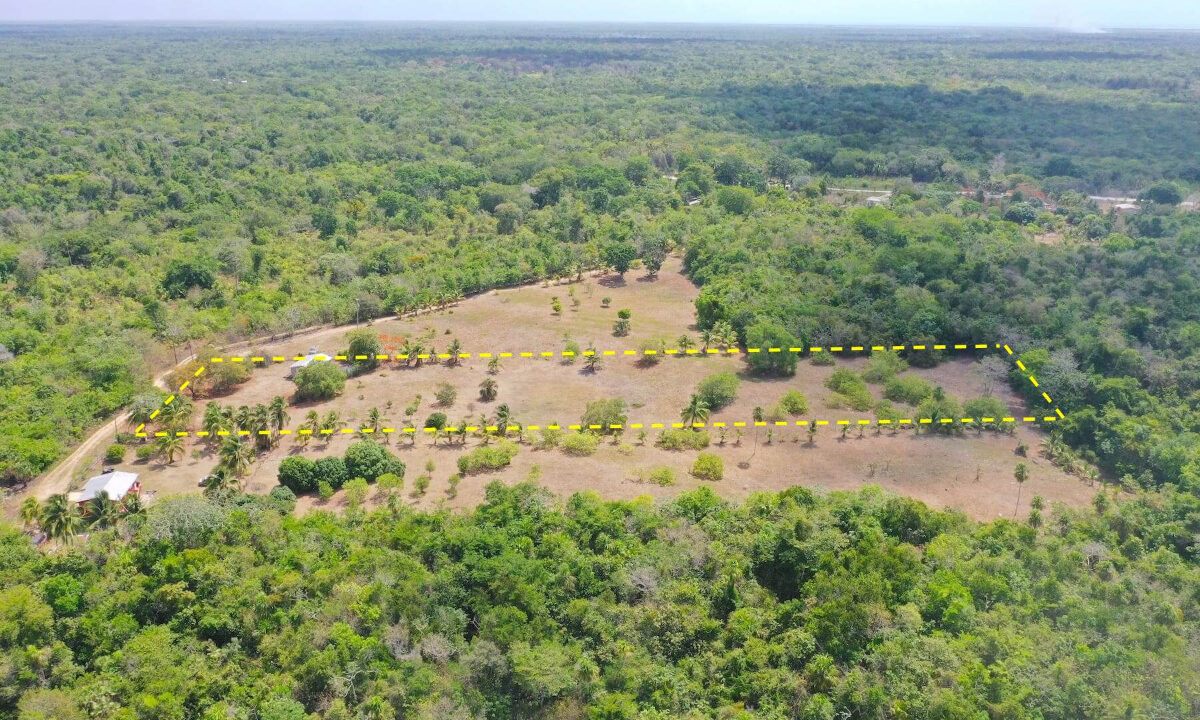 DJI_0937
