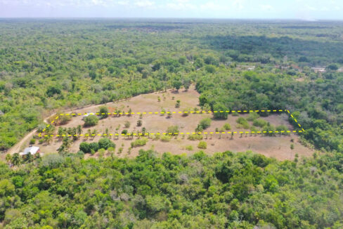 DJI_0937