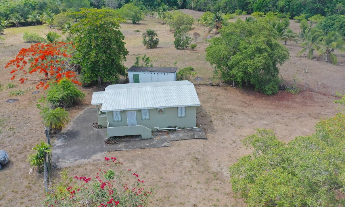 DJI_0957