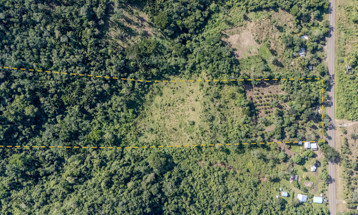Land20for20Sale20Hummingbird20Highway20Cayo20Belize2003