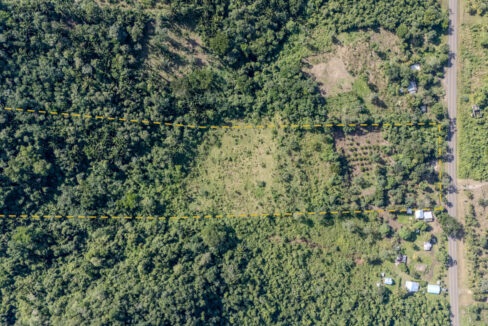 Land20for20Sale20Hummingbird20Highway20Cayo20Belize2003