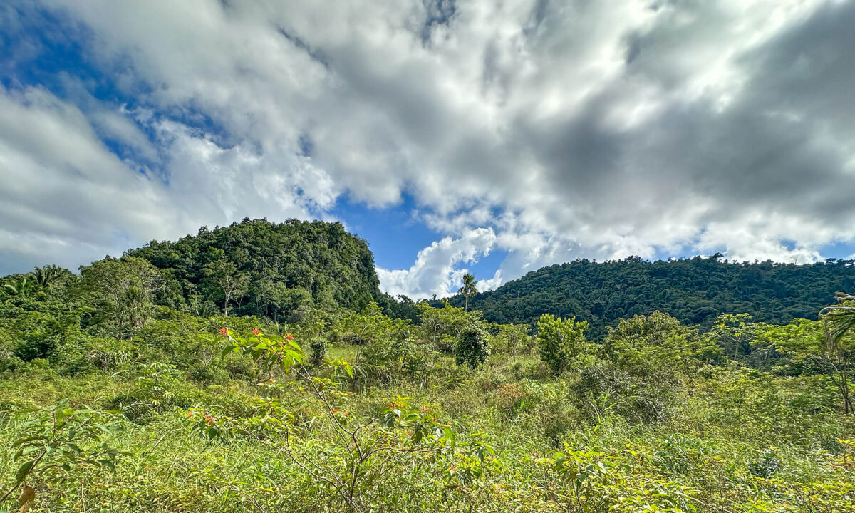 Land20for20Sale20Hummingbird20Highway20Cayo20Belize2006