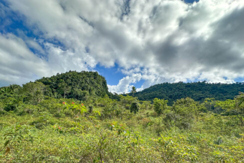 Land20for20Sale20Hummingbird20Highway20Cayo20Belize2006