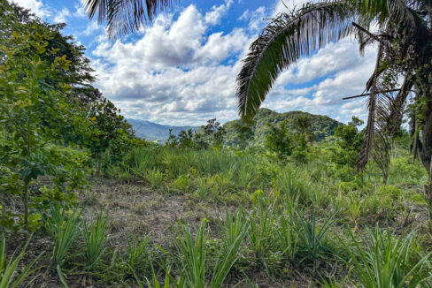 Land20for20Sale20Hummingbird20Highway20Cayo20Belize2007