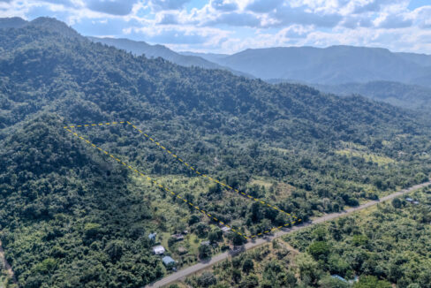 Land20for20Sale20Hummingbird20Highway20Cayo20Belize2009