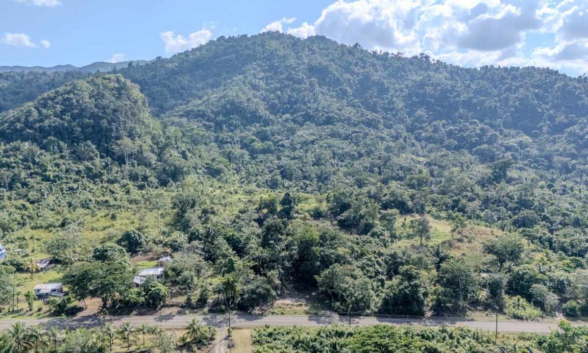 Land20for20Sale20Hummingbird20Highway20Cayo20Belize2011
