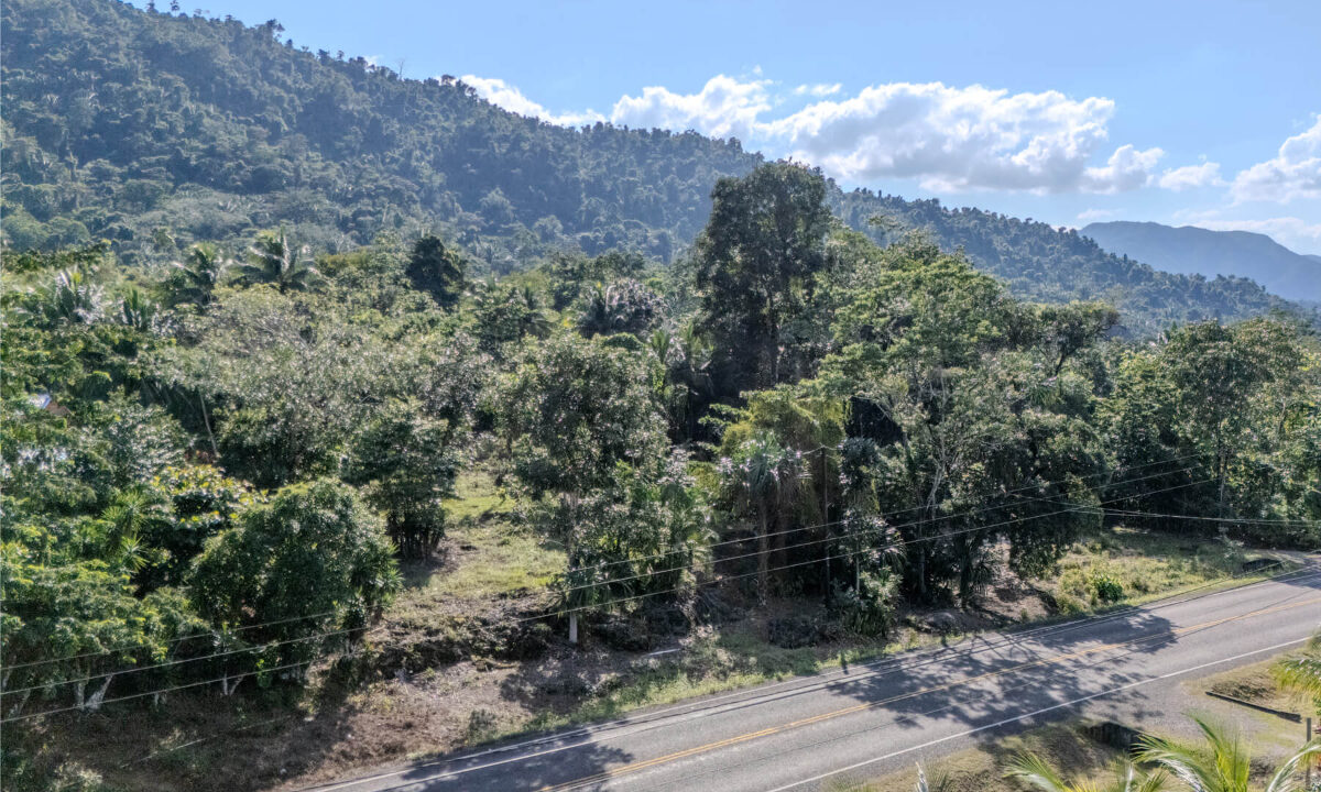 Land20for20Sale20Hummingbird20Highway20Cayo20Belize2012
