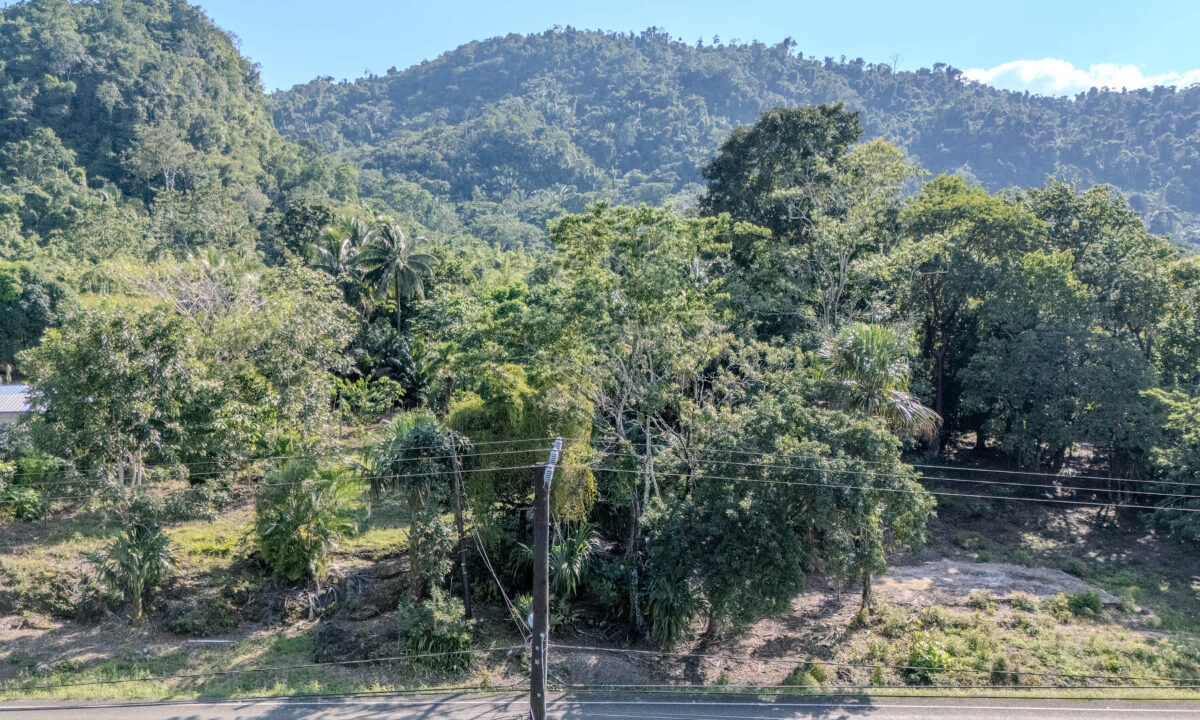 Land20for20Sale20Hummingbird20Highway20Cayo20Belize2014